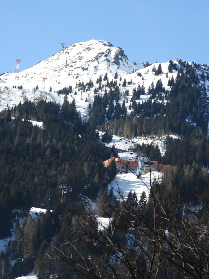 Haus Alpengold Apartment Бад Хофгащайн Екстериор снимка